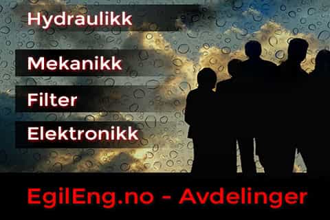 avdelinger